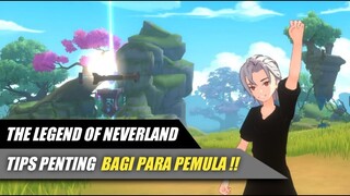 Tips Penting Bagi Para Pemula - The Legend Of Neverland