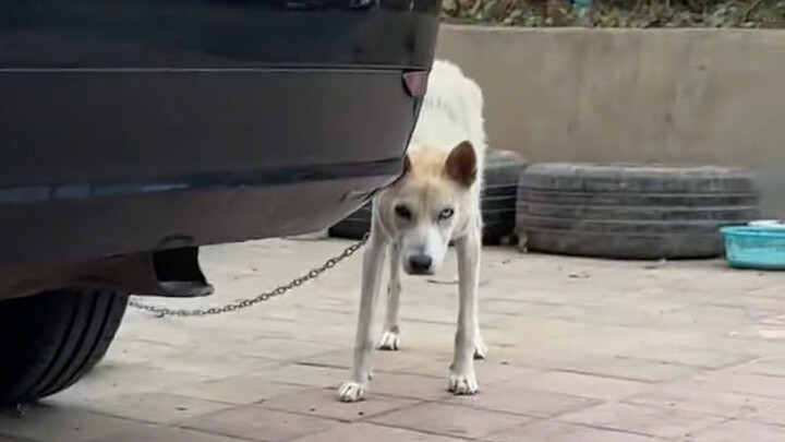 它妈妈往那一站就知道强的可怕