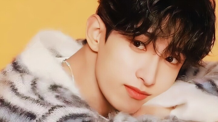 【SVT Lee Seok‑min】Video bermimpi: Serigala kecil yang diadopsi habis dimakan sampai bersih 【Seventee