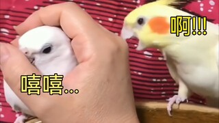 ''真TM绝了，再看一遍'' «111»