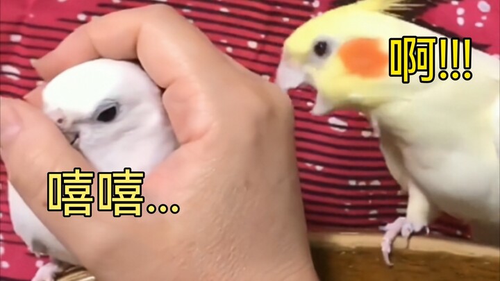 ''真TM绝了，再看一遍'' «111»