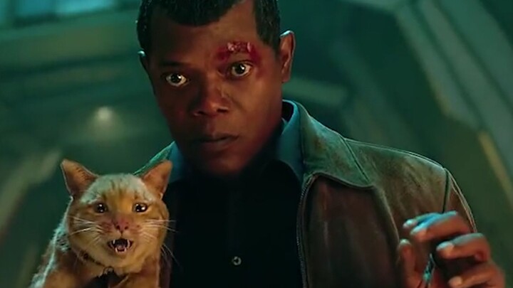 I finally understand why he wears an eye patch. It turns out he was scratched by a cat.