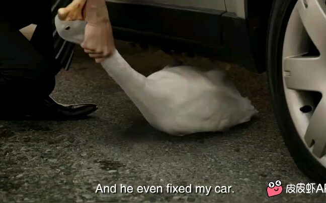 You're going too far, Duck Brother