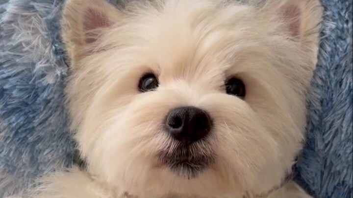 Spa nhập vai cho người mới bắt đầu