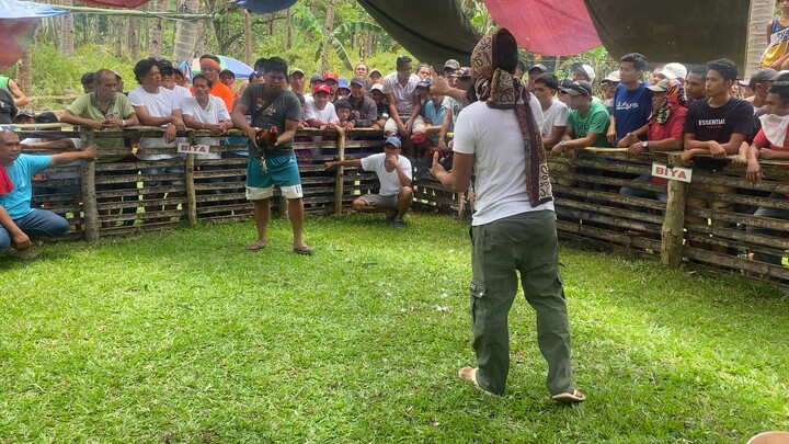 Araw ng barangay