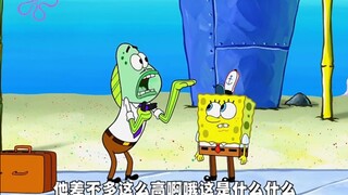 “熟男海绵宝宝”