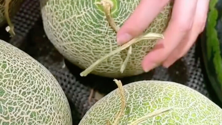 الطلاب الجامعيون المعاصرون بحاجة ماسة إلى