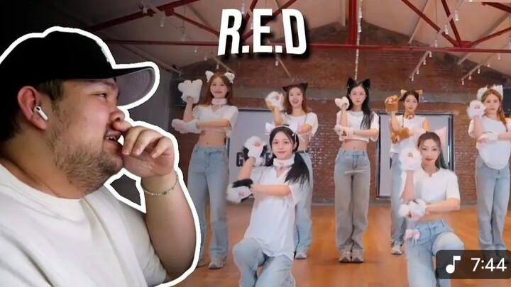 外国人REACTION to R.E.D - _猫步Catwalk_ Dance Practice (One Take Ver.)
