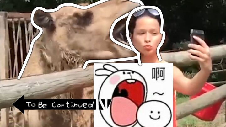 Kết thúc chuẩn: Khúc này cất lên, không chết thì cũng bị thương ⑦