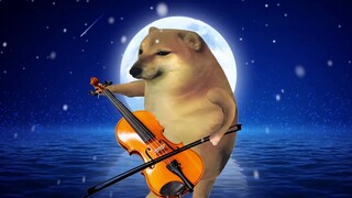 太好听了