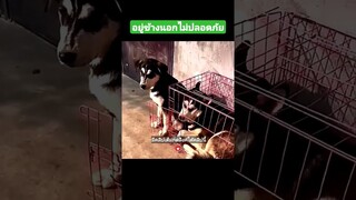 อยู่ข้างนอกไม่ปลอดภัย