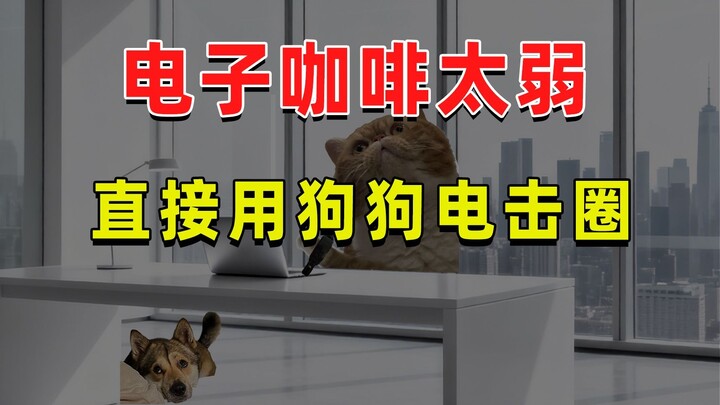 【JUMP】กาแฟอิเล็กทรอนิกส์ยังอ่อนแอมากเมื่ออยู่ต่อหน้าปลอกคอไฟฟ้าสำหรับสุนัข