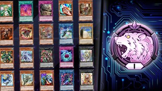The 20 Deck Slots Yu-Gi-Oh! Challenge