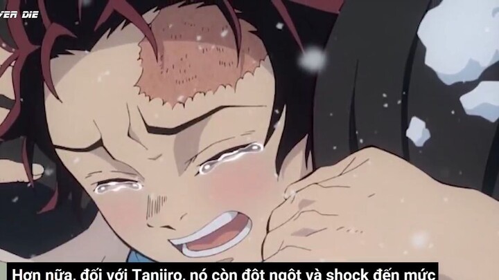 Giyuu, Shinobu Và 10 Câu Nói Bất Hủ Trong Kimetsu No Yaiba