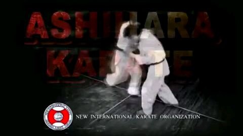 Ashihara Karate