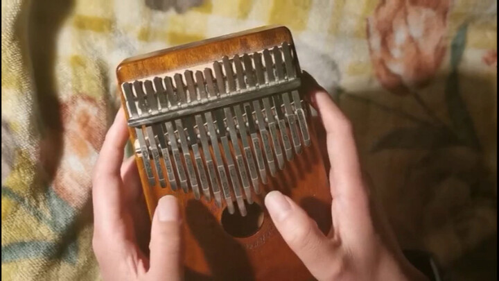 【Kalimba】Playing Croatian Rhapsody with Kalimba