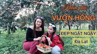 Khám phá VƯỜN HỒNG CUỐI MÙA Đà Lạt - Đẹp ngất ngây|Du lịch Đà Lạt.