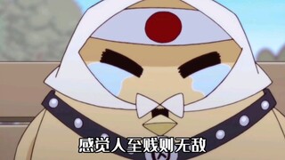 第113集丨脚盆鸡遭天谴？连续两年9月18日被台风席卷！网友：看着真舒服呀