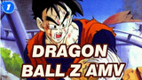 Era Keputusasaan! Melindungi Masa Depan Kaum Saiyan | Dragon Ball Z AMV_1