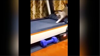 Những thứ đáng yêu #videohaynhat