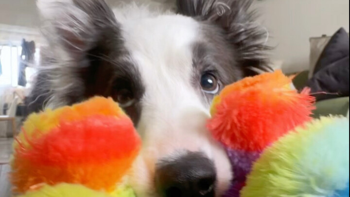 Nüwa: Lihatlah anjing gembala cantik yang kubentuk ini, apa lagi sih ulah bodohnya kali ini