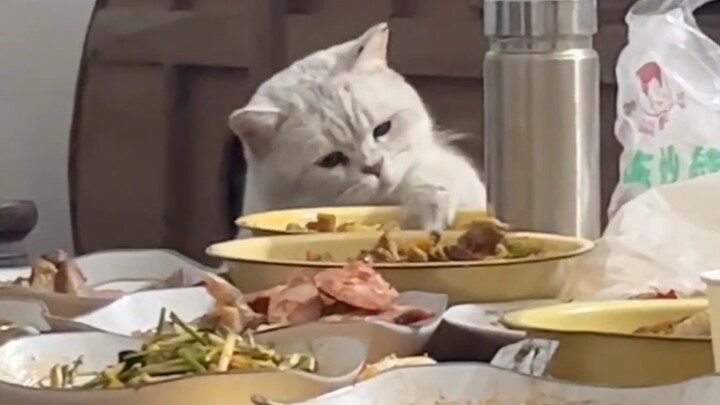 Mi really didn’t sneak a bite!