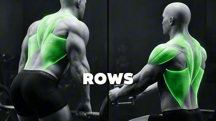 Cable Row vs Barbell Row — Which Builds A Thicker Back? 💪