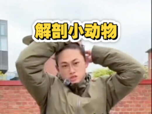 Can you study medicine without dissecting small animals? It’s all for treating patients—stop being a