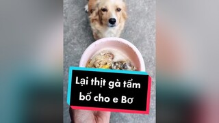 Ăn uống quá sướng luôn. Haha cunyeucuadua chó chócon chókhôn chócute xuhuong fyp