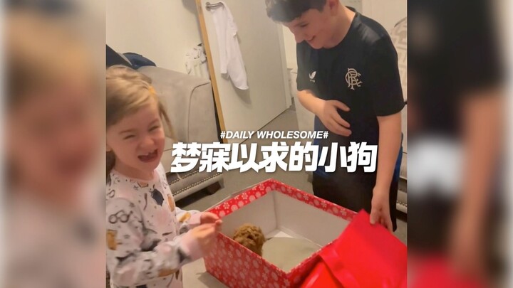 POV：你一觉醒来获得了梦寐以求的小狗