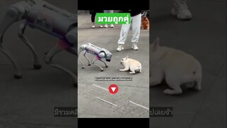 ^มีรวมคลิปเต็มชุดนี้กดดูลิงค์ด้านบนเลยจ้า^ มวยถูกคู่