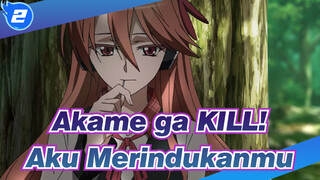 Akame ga KILL! | [AMV] Aku Merindukanmu, Chelsea_2