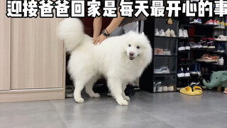 Every day, little cuties are waiting for you to come home!