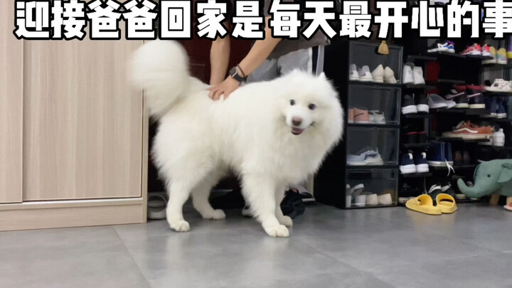 كل يوم هناك مخلوق لطيف ينتظر عودتك إلى المنزل!