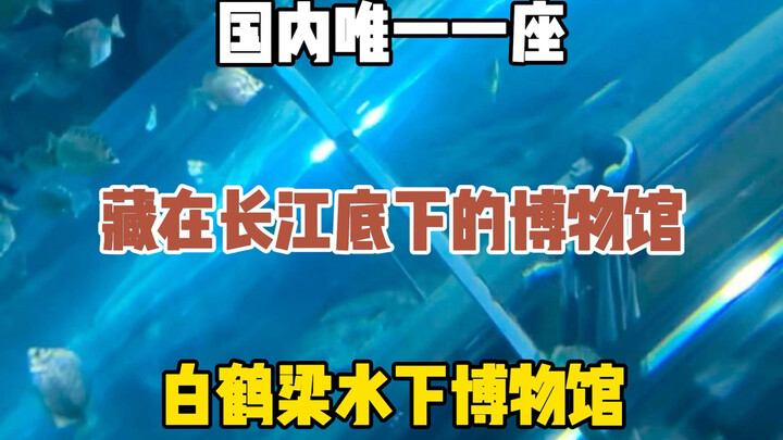 国内唯一一座藏在长江底下的博物馆，重庆白鹤梁水下博物馆，你还知道哪些神奇的博物馆？