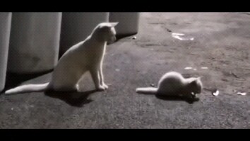 Jalur selanjutnya harus kamu tempuh sendiri!!!