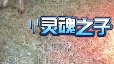 ลูกแห่งวิญญาณ – เทลงไป