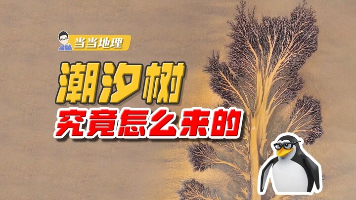 Sebuah surat kabar “salah”? Sebenarnya dari mana asal pohon ini? [Geografi Lokal]