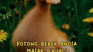 yang nyanyi harus ngaku