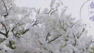 摄政王妃很骄纵第十一集（骄纵任性羡X腹黑心机湛 忘羡  甜宠  双洁 ABO HE )