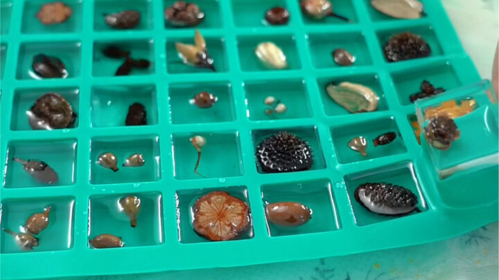 Chiếc đèn bàn cũ cuối cùng cũng không phải nằm trong góc phủ bụi nữa rồi