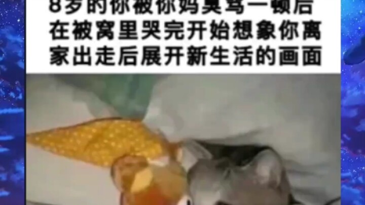 Loạt ảnh hài hước trên mạng “cười chết mất thôi” #5
