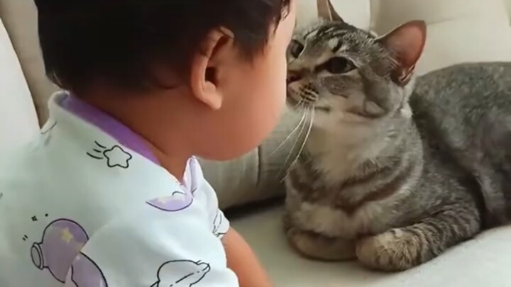 ปฏิกิริยาของแมวต่อทารกที่ร้องไห้
