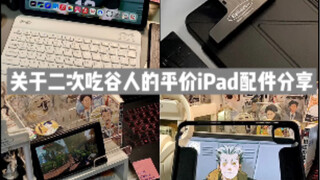 快递开箱｜二次吃谷人的平价iPad配件分享｜iPad保护壳｜排球少年