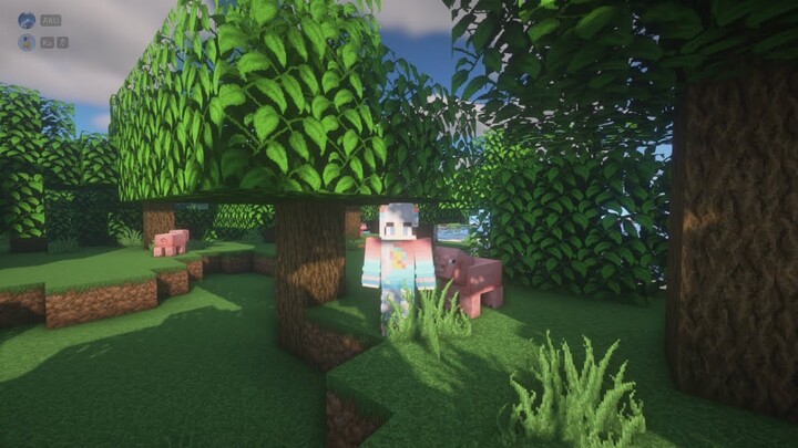 MINECRAFT HARDCORE