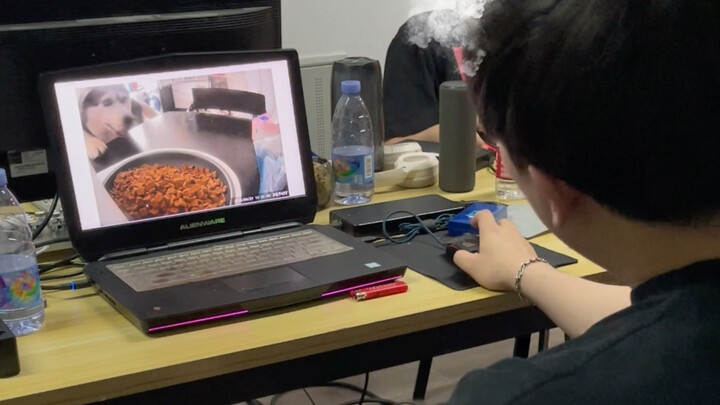 لا أصدق أن هذا الكلب لا يشعر بالندم أبدًا!