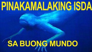 PINAKAMALAKING ISDA SA BUONG KARAGATAN