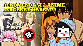 REKOMENDASI ANIME BERGENRE HAREM?!! ANIME APA AJA YA??