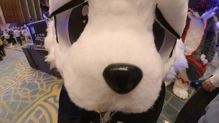 Ai da, đầu hàng đầu hàng, đánh không nổi mà