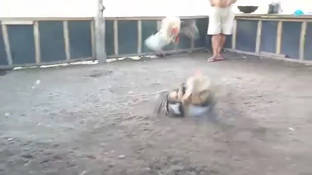 Sunday Spar 👌🏻